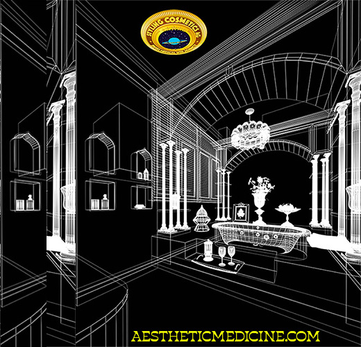 Strategic digital luxury positioning and scalable ecosystem in aesthetic medicine